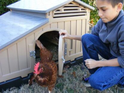 Snap Lock Standard Chicken Coop by Formex